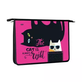 Папка для тетрадей А4 Hatber Все любят котиков 2 отделения на молнии