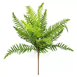 Папоротник Конэко-О искусственный