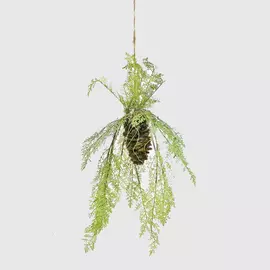 Папоротник Конэко-О ампельный на корне 70 см в подвесном кашпо