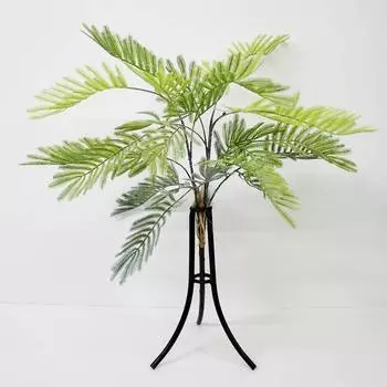 Папоротник Конэко-О KR_10137 60 см