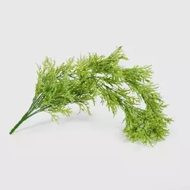 Папоротник Конэко-О оленьи рога высота 82 см