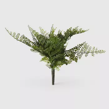 Папоротник Конэко-О зеленый 40 см