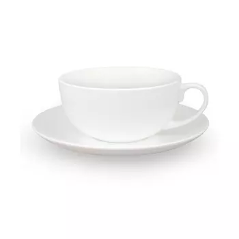 Пара чайная АККУ 8108А 350 мл 17 см