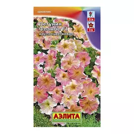 Петуния Аэлита фламбе