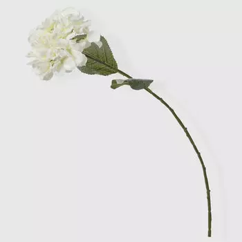 Пион Конэко-О-17518 64 см