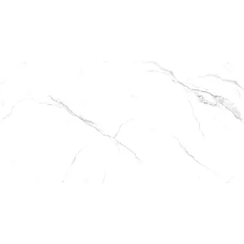 Плитка Absolut Gres Alba AB 3115G 60х120 см