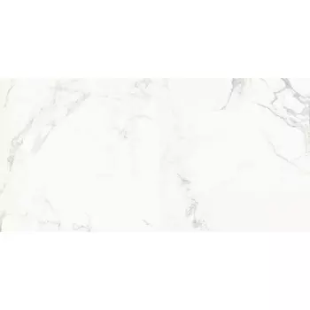 Плитка Absolut Gres Calacatta Classic AB1112G 60х120 см