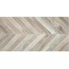 Плитка Alaplana Ceramica Altair Gris Mate 50х100 см