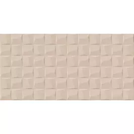 Плитка Alma Ceramica Asteria TWU09ATR034 24,9x50 см