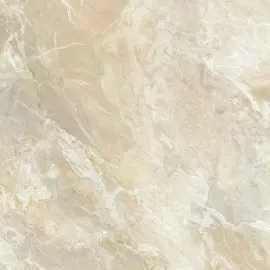 Плитка Alma Ceramica Bardiglio GFU04BDG04R 60x60 см