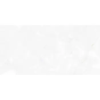 Плитка Alma Ceramica Bergamo TWU09BGM007 24,9x50 см