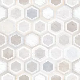 Плитка Alma Ceramica Evolution GFU04EVL47R 60x60 см