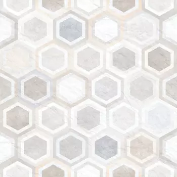 Плитка Alma Ceramica Evolution GFU04EVL47R 60x60 см