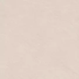 Плитка Alma Ceramica Evolution GFU04EVL50R 60x60 см