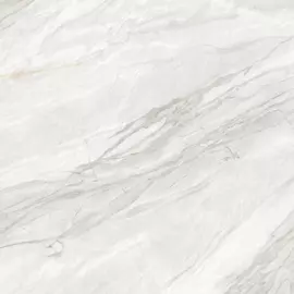 Плитка Alma Ceramica Fleur GFU04FLR07R 60x60 см