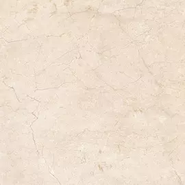 Плитка Alma Ceramica Palermo GFU04PLR04R 60х60 см