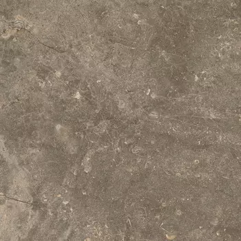 Плитка ColiseumGres Червиния Земля 610010001441 45x45 см