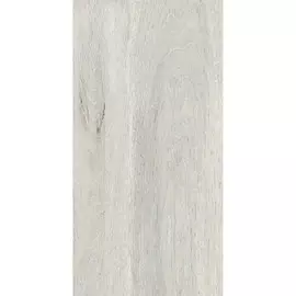 Плитка Estima Dream Wood DW01 30,6x60,9 см