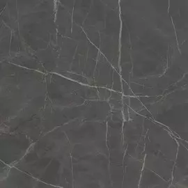 Плитка Kerama Marazzi Буонарроти серый темный обрезной 60x60x11 см SG642900R