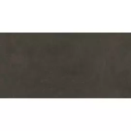Плитка Kerama Marazzi Про Фьюче коричневый обрезной 60x119,5 см DD592800R