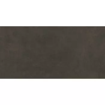 Плитка Kerama marazzi Про Матрикс DD202800R 30x60 см