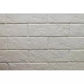 Плитка Керамика Эволюшн 23,5x7,8 см