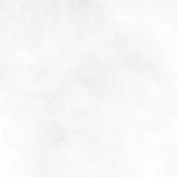 Плитка облицовочная Alma Ceramica Richard 249X500 см белый