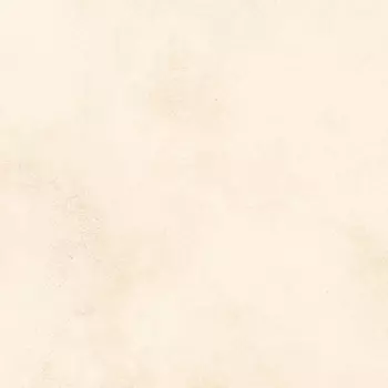 Плитка облицовочная Alma Ceramica Richard 249X500 см бежевый