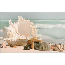 Плитка PiezaROSA Адриатика Ракушки 25x40 см 121915