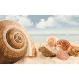 Плитка PiezaROSA Адриатика Ракушки 25x40 см 121917