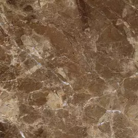 Плитка ProGRES Имперадор PR0001 коричневый темный 60x60