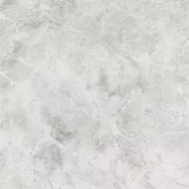 Плитка ProGRES Имперадор PR0063 серый светлый 60x60