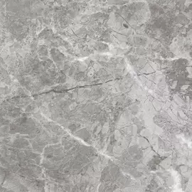 Плитка ProGRES Imperial IPR0010 серый 60x60 см