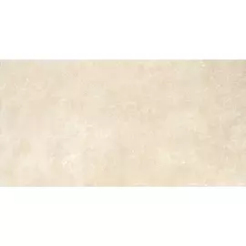 Плитка Saloni Gard Vison 31x60 см