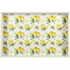 Поднос Mercury la terra del sole 30х45см в ассортименте