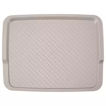 Поднос Phibo бежевый 425х320х22 мм