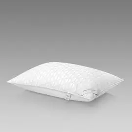 Подушка 50х70 Togas Финесс 20.05.19.0051