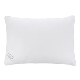 Подушка Delux art delux-box 50х70 см