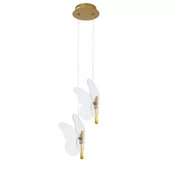 Подвесной светильник Arte Lamp DARCY A2187SP-2GO