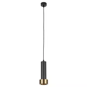 Подвесной светильник Arte Lamp RAN A3147SP-1BK