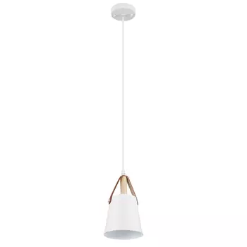 Подвесной светильник Arte Lamp THOMAS A7032SP-1WH
