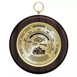 Погодникъ RST Рыбакъ 170 мм.