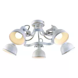Потолочная люстра Arte Lamp Martin A5216PL-5WG