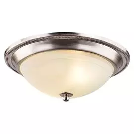Потолочный светильник Arte Lamp 28 A3011PL-2SS
