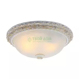 Потолочный светильник Artelamp Torta A7122PL-2WG