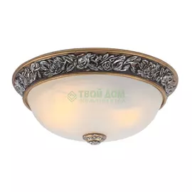 Потолочный светильник Artelamp Torta A7142PL-2SB