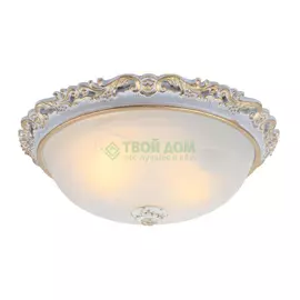 Потолочный светильник Artelamp Torta A7152PL-2WG