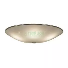 Потолочный светильник CITILUX 911 (CL911503)
