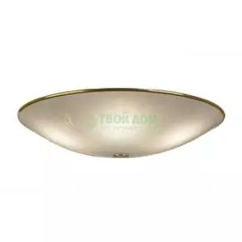 Потолочный светильник CITILUX 911 (CL911603)