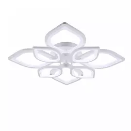 Потолочный светильник Freya Folio FR6015CL-L84W